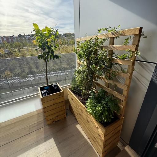 Imagen 20352698 de valoración de Jardinera 100x30x50 con celosia