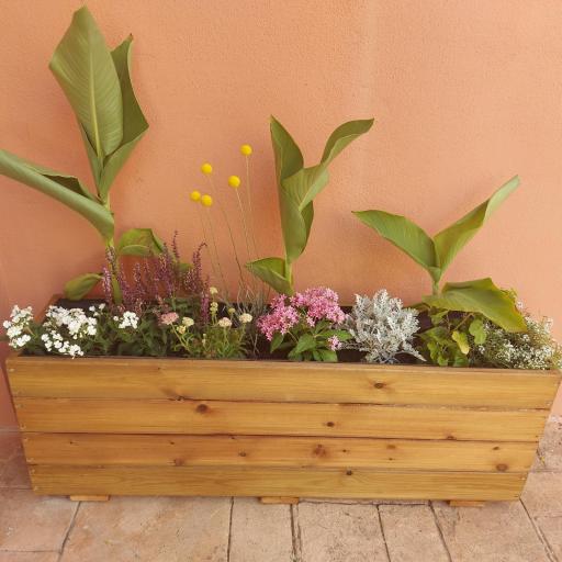 Imagen 20105263 de valoración de Jardinera 120x30x40