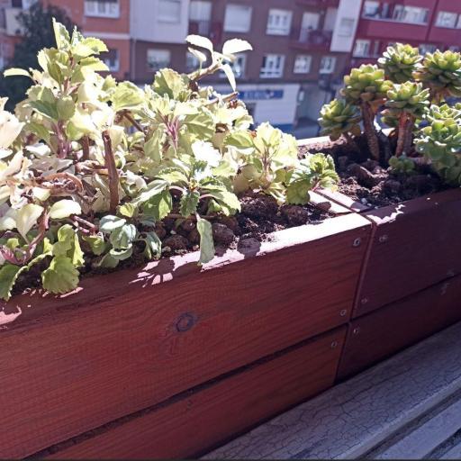 Imagen 20803454 de valoración de Jardinera 26x20x20