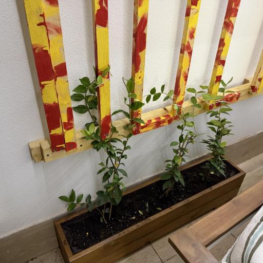 Imagen 20758726 de valoración de Jardinera 100x20x20