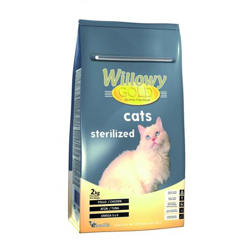 Willowy Gold CATS STERILIZED [1]