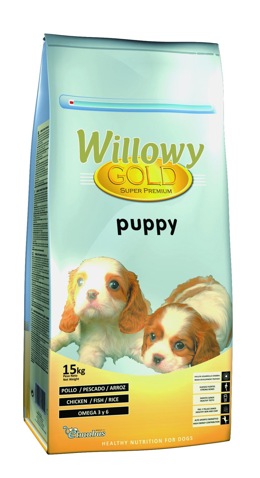 Willowy Gold PUPPY
