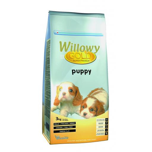 Willowy Gold PUPPY [1]