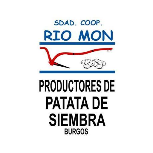 Patata de Siembra Certificada SPUNTA/TREMESINA: Calibre 35/55. Saco 25 Kg. Sdad. Coop. Rio Mon. Burgos [2]
