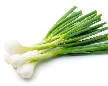 CEBOLLAS / PUERROS