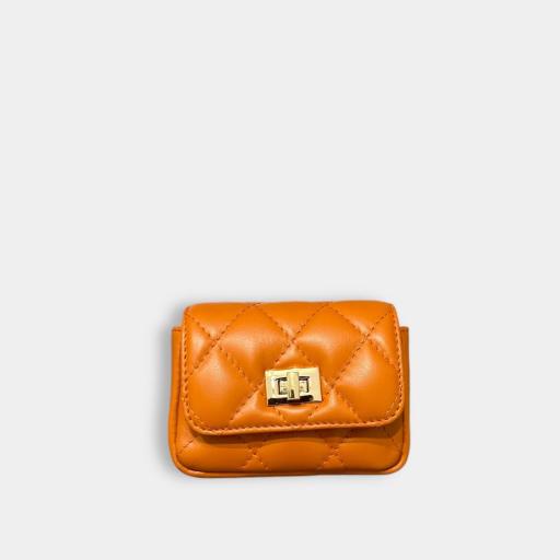 Bolsos super minis [4]