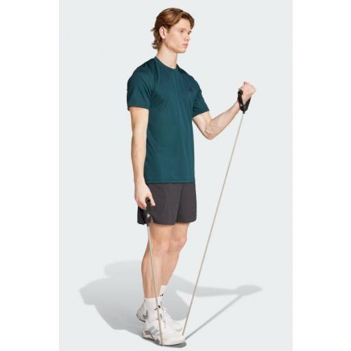 Camiseta Adidas Train Essentials Verde Oscuro [1]