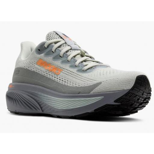 Zapatillas Brooks Ghost 17 Gore Tex Gris [1]