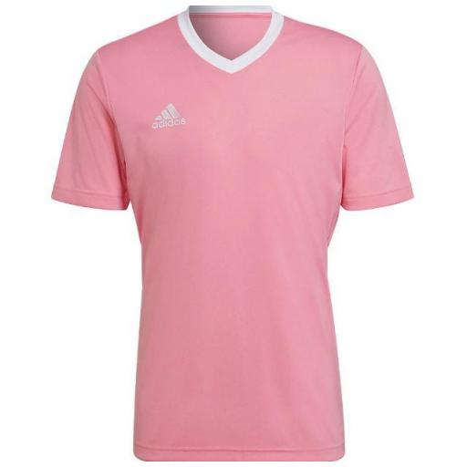 Camiseta Adidas ENTRADA 22 Jersey Rosa