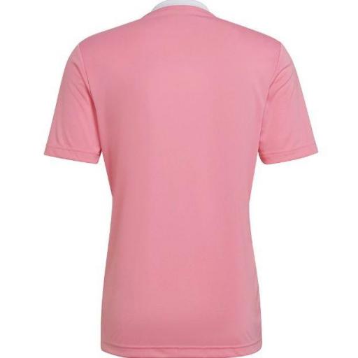 Camiseta Adidas ENTRADA 22 Jersey Rosa [1]