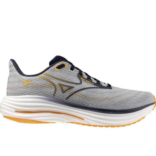 Zapatillas Mizuno Wave Rider 29 Gris/Azul