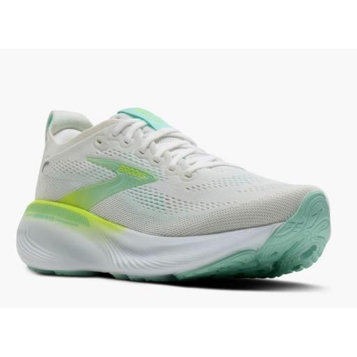 Zapatillas Brooks Adrenaline GTS 25 Blanco/Yucca [1]
