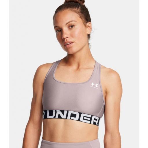 Sujetador Under Armour HG Authentics Mid Bra Gris [1]