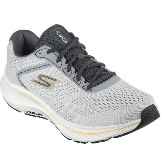 Zapatillas Skechers GO RUN Consistent 2.0 Gris [1]