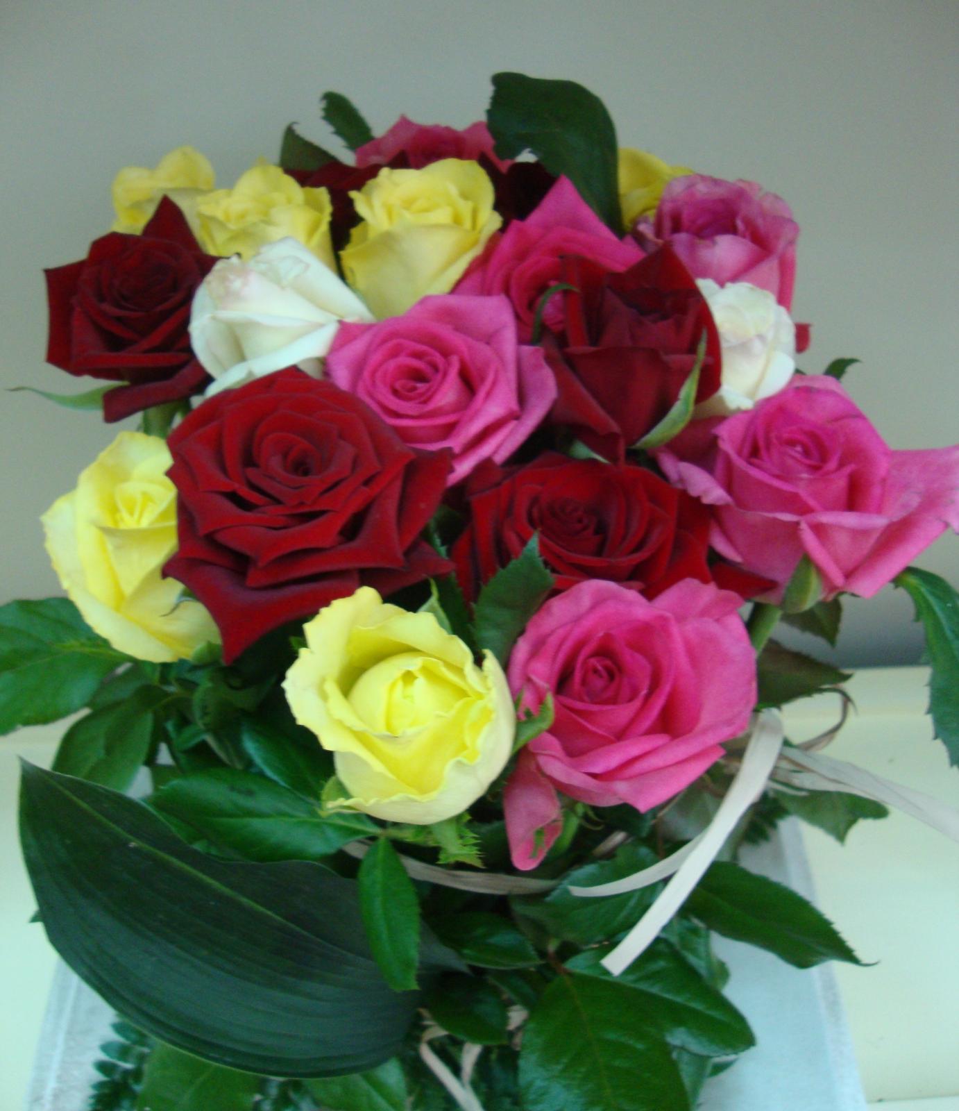 03 Rosas multicolor 