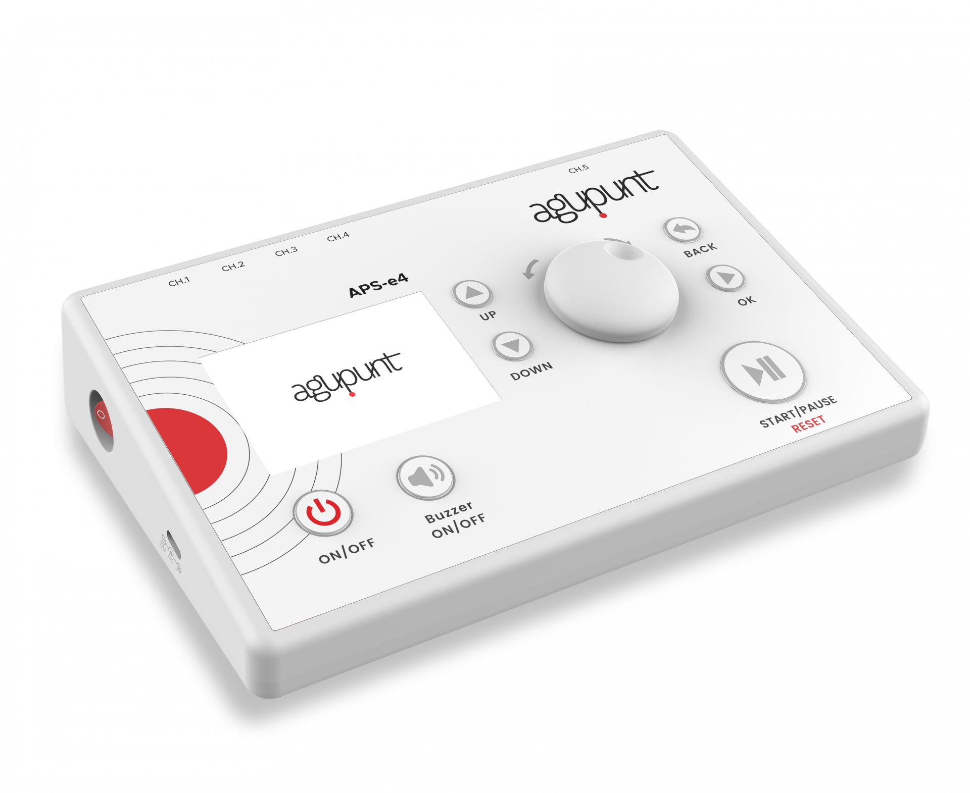 Fisioterapia Invasiva APSe4.