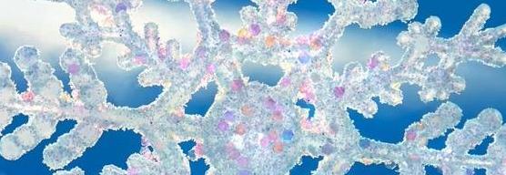 Armarios congeladores 