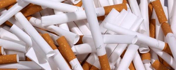 Tubos de cigarrillos para entubar tabaco