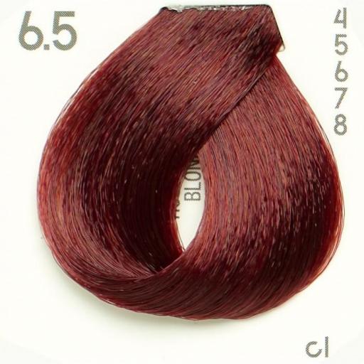 Tinte Nº 6.5 Hairconcept Evolution Orgánic 60 ml. [0]