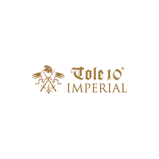 Logo de TOLE10