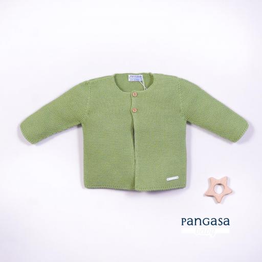 Pangasa - Chaqueta larga verde hoja 2504033