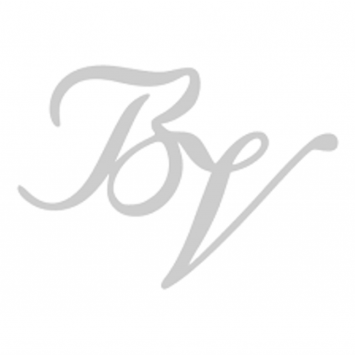 Logo de Blanca Valiente