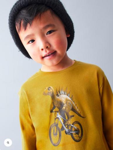 Mayoral - Camiseta m/l dino 4087 [1]