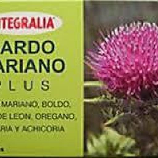 Cardo Mariano Plus [0]