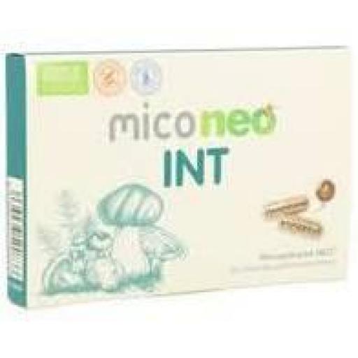 MICONEO INT [0]