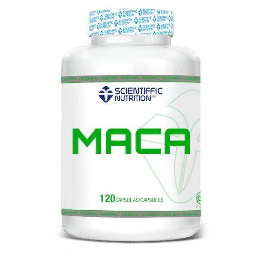 MACA