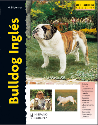 Bulldog inglés, Carácter, Cuidados & Alimentación