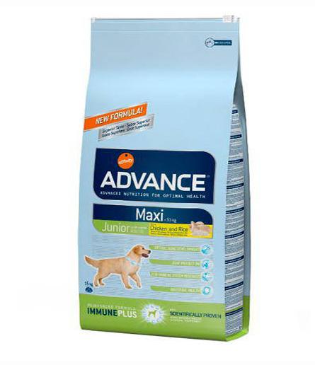 Advance Maxi Junior para Perro