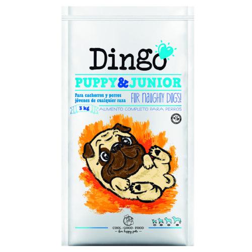 Dingo Puppy & Junior