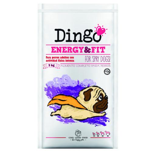 Dingo Energy & Fit