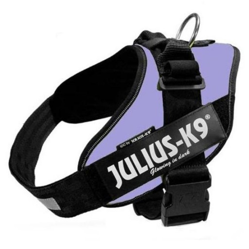 Julius K9 IDC 3 Púrpura [0]