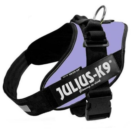 Julius K9 IDC 2 Púrpura