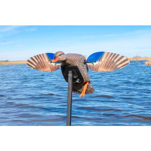 MOJO MINI MALLARD HEN [0]
