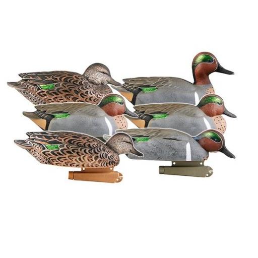 PG GREEN- WINGED TEAL [0]