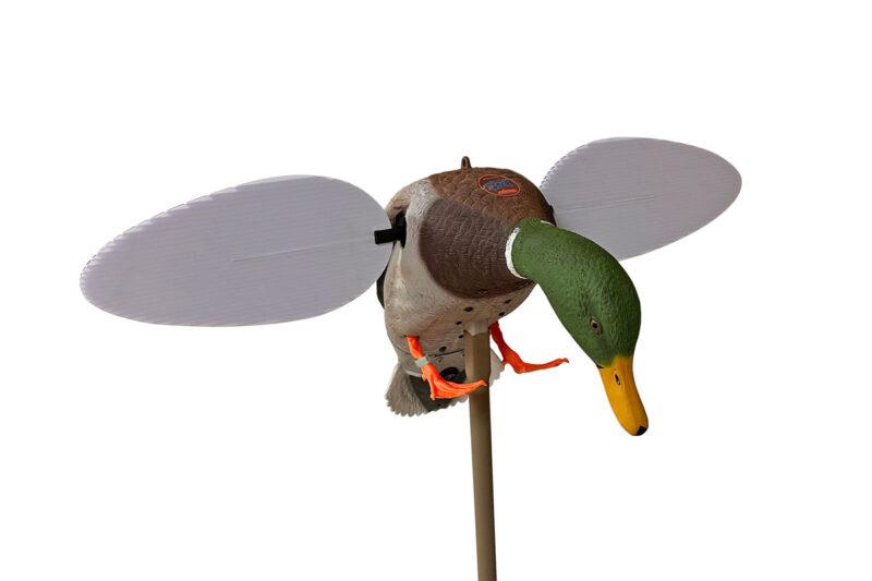 MOJO® Pato ánade real ELECTRICO – 25.º aniversario
