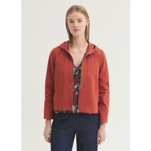 CHAQUETA CAPUCHA COLORES, NICE THINGS PV 2026, REF. WWW160 [0]