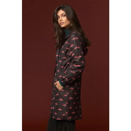 RAINCOAT DRAGONFLY, MINUETO OI 2026-27, REF. 262134 [1]