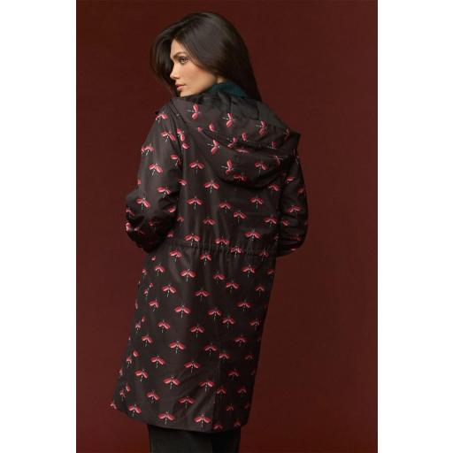 RAINCOAT DRAGONFLY, MINUETO OI 2026-27, REF. 262134 [2]