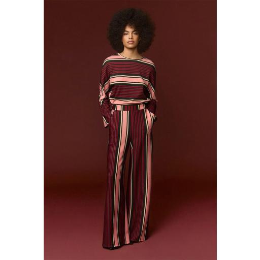 TOP TATE, MINUETO OI 2026-27, REF. 262143 [3]