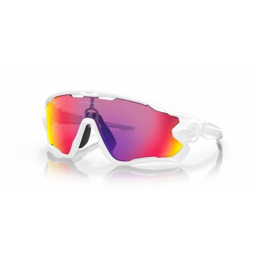 Gafas de Sol OAKLEY Jawbreaker™ Lentes Prizm Road [0]