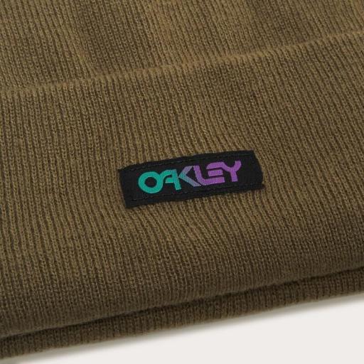 Gorro OAKLEY B1B Gradient Patch - verde [1]