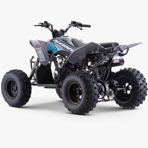 QUAD Apollo Sano PREDATOR 125 CC [5]