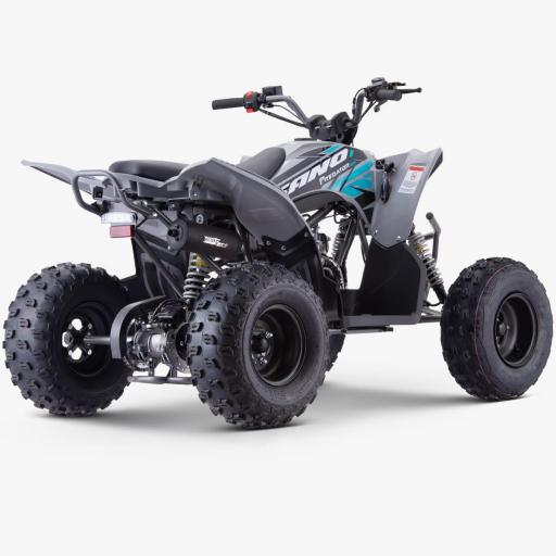 QUAD Apollo Sano PREDATOR 125 CC [3]