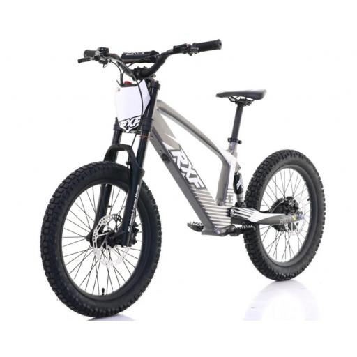 BICICLETA ELÉCTRICA SIN PEDALES ROAN RXF 20" Gris 750 W [0]