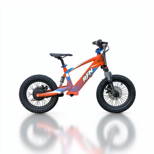 BICICLETA ELÉCTRICA SIN PEDALES ROAN RXF 16" naranja 350 W [1]