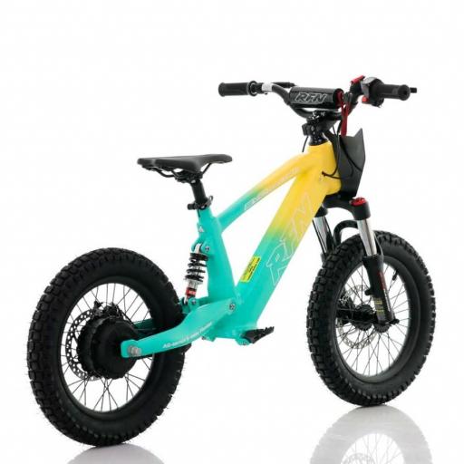 BICICLETA ELÉCTRICA SIN PEDALES ROAN RXF 16" verde y amarillo 350 W [3]